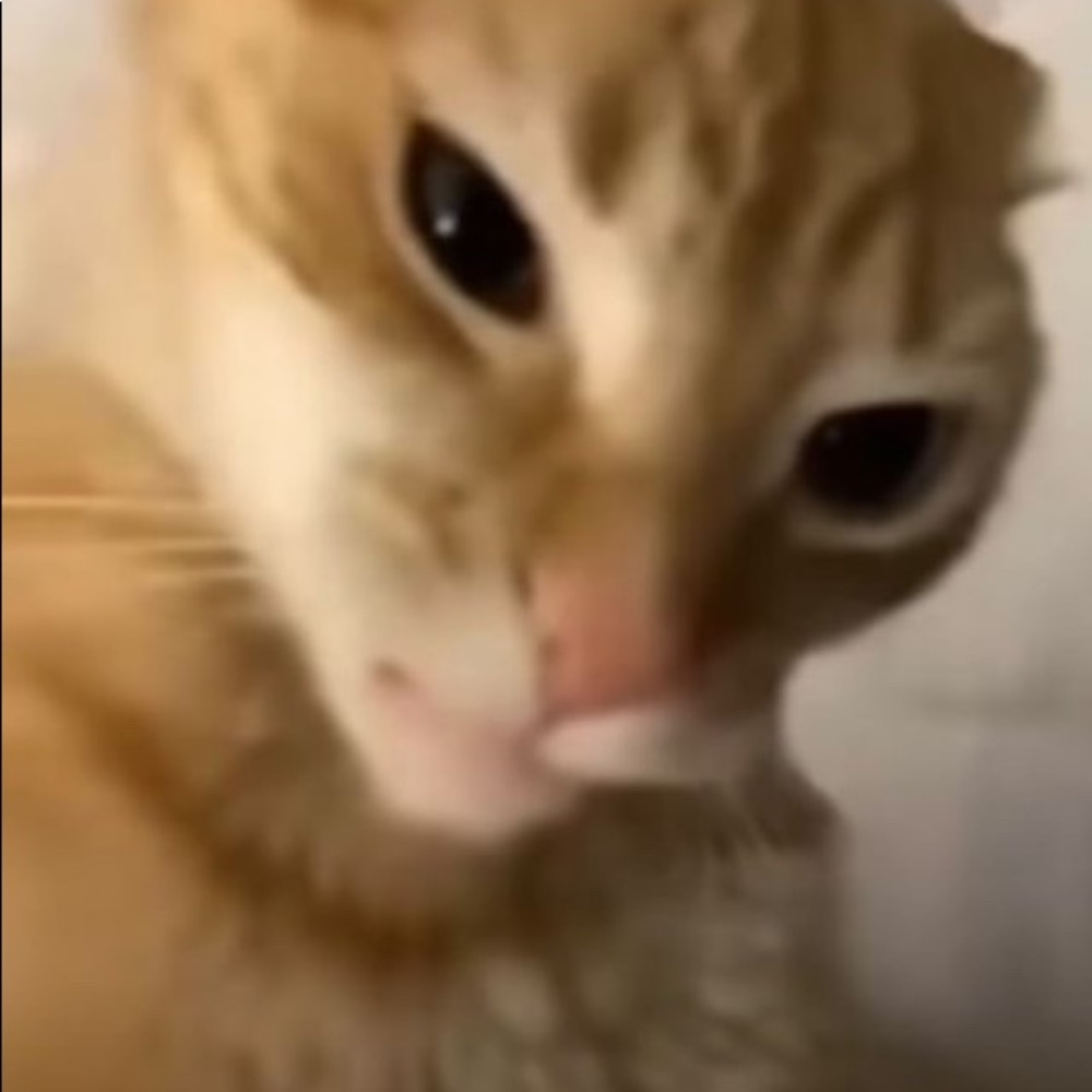 Meet your Posher, Angel